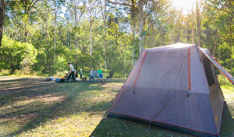 Family relaxing by their tent in Redgum section of Euroka campground. Photo: OEH/Simone Cottrell