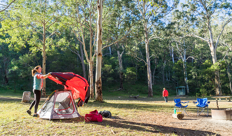 Camper sets up a tent in the Darug section of Euroka campground. Photo: OEH/Simone Cottrell