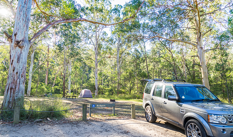 Car parked near a tent in the Redgum section of Euroka campground. Photo: OEH/Simone Cottrell