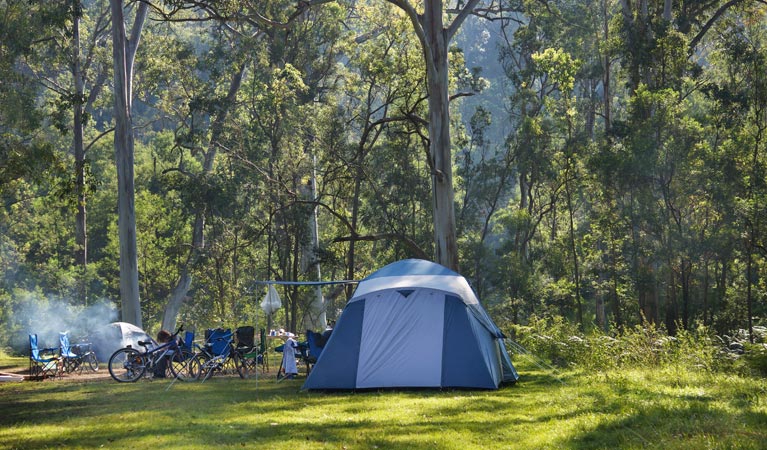 Tent and bicycles in the Redgum section of Euroka campground. Photo: Steve Alton/NSW Government