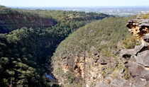 Glenbrook Gorge track, Blue Mountains National Park. Photo: Steve Alton &copy; OEH