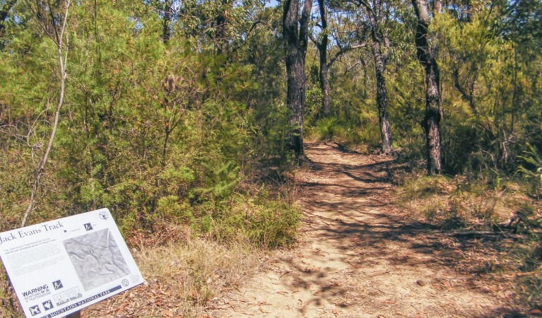 Interpretive signage along Jack Evans track in Glenbrook area, Blue Mountains National Park. Photo: Craig Marshall &copy; OEH