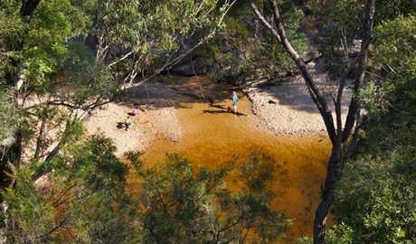 Jellybean Pool, Blue Mountains National Park. Photo: Steve Alton &copy; OEH