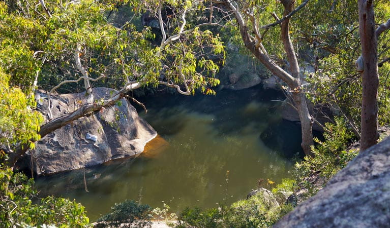 Jellybean Pool, Blue Mountains National Park. Phone: Steve Alton/NSW Government