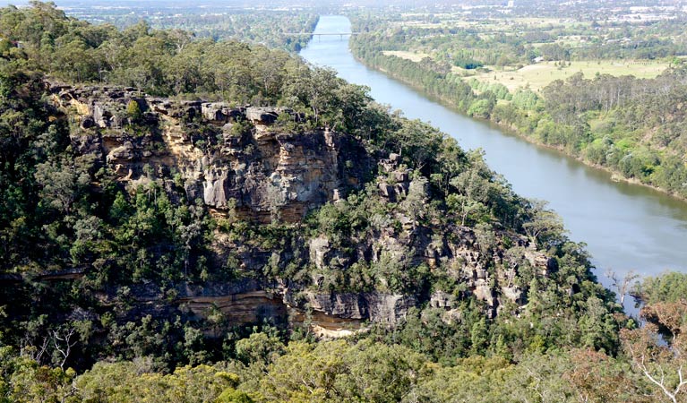 Mount Portal lookout, Blue Mountains National Park. Photo: Steve Alton