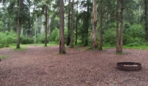 Murphys Glen campground, Blue Mountains National Park. Photo: Arthur Henry/NSW Government