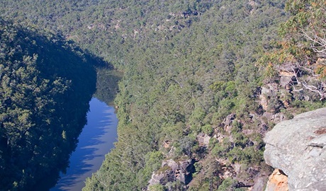 Euroka - Nepean River walk, Blue Mountains National Park. Photo: Nick Cubbin &copy; OEH