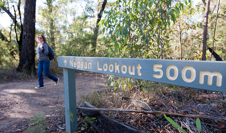 Euroka - Nepean River walk, Blue Mountains National Park. Photo: Nick Cubbin