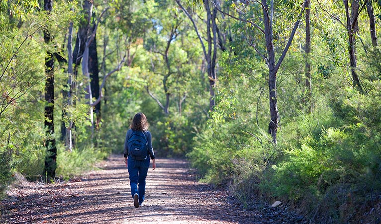 Euroka - Nepean River walk, Blue Mountains National Park. Photo: Nick Cubbin &copy; OEH