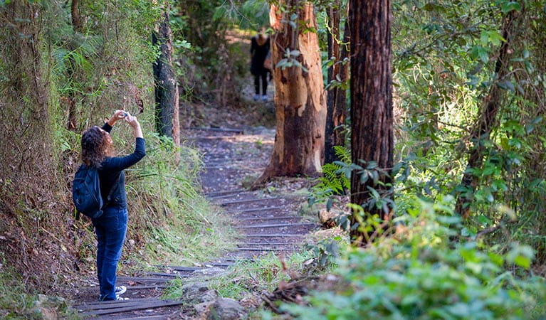 Nepean River walk, Blue Mountains National Park. Photo: Nick Cubbin &copy; OEH
