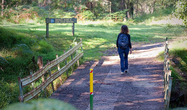 Euroka - Nepean River walk, Blue Mountains National Park. Photo: Nick Cubbin &copy; OEH