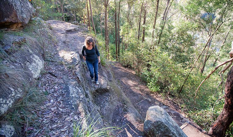 Euroka - Nepean River walk, Blue Mountains National Park. Photo: Nick Cubbin &copy; OEH