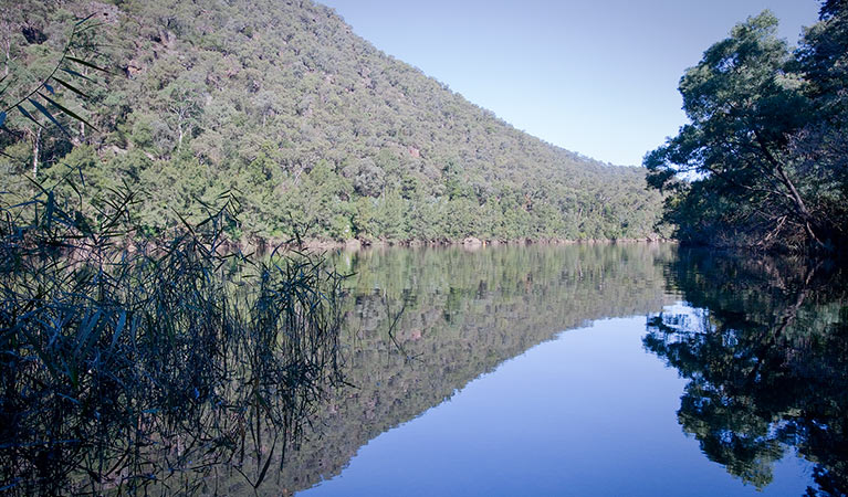 Euroka - Nepean River walk, Blue Mountains National Park. Photo: Nick Cubbin &copy; OEH