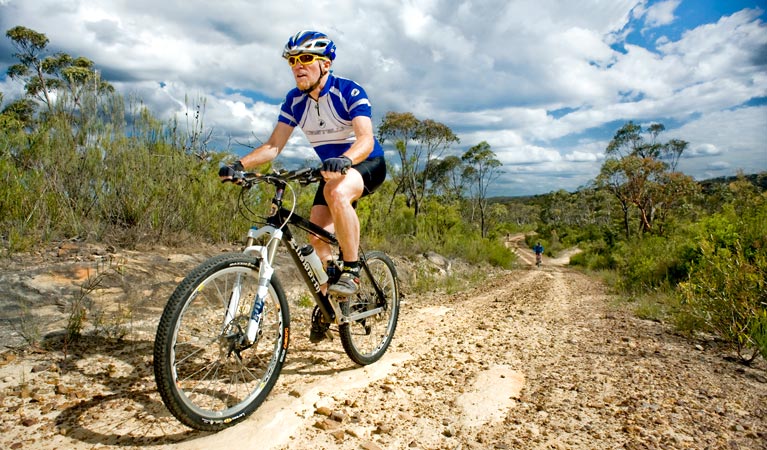 Woodford - Oaks trail, Blue Mountains National Park. Photo: David Hill/Blue Mountains, Lithgow and Oberon Tourism