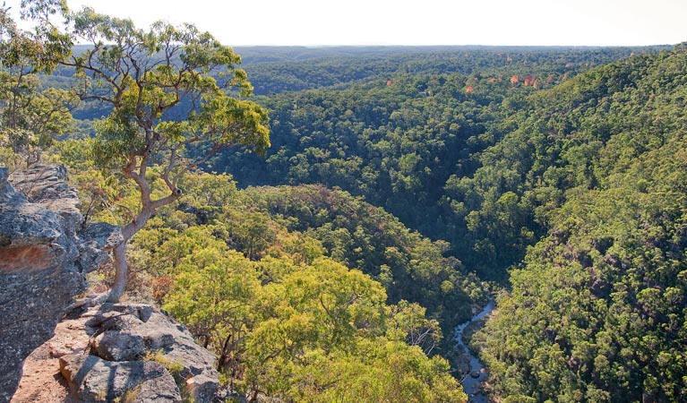 Tunnel View lookout, Blue Mountains National Park. Photo: Nick Cubbin &copy; OEH