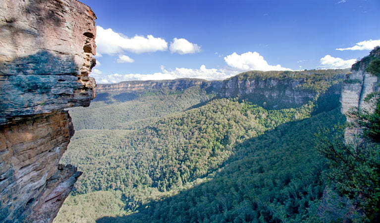Dardanelles Pass loop walking track, Blue Mountains National Park. Photo: Nick Cubbin/OEH