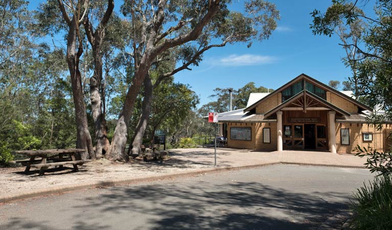 Conservation Hut and Valley of the Waters picnic area, Blue Mountains National Park. Photo: Elinor Sheargold/OEH