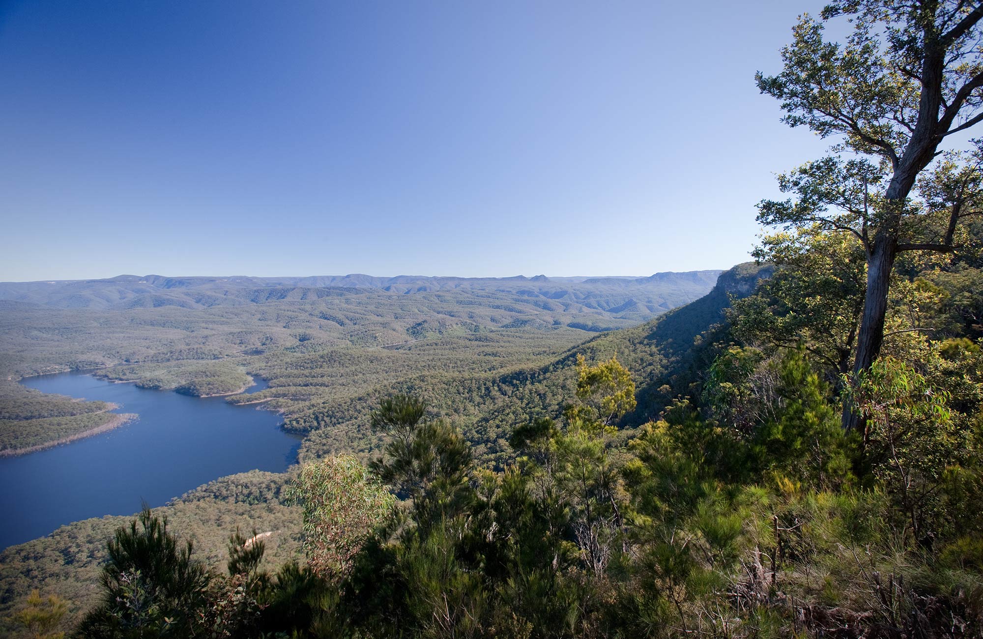 Views from McMahons Point lookout over Lake Burragorang, Blue Mountains National Park. Photo: Nick Cubbin/OEH