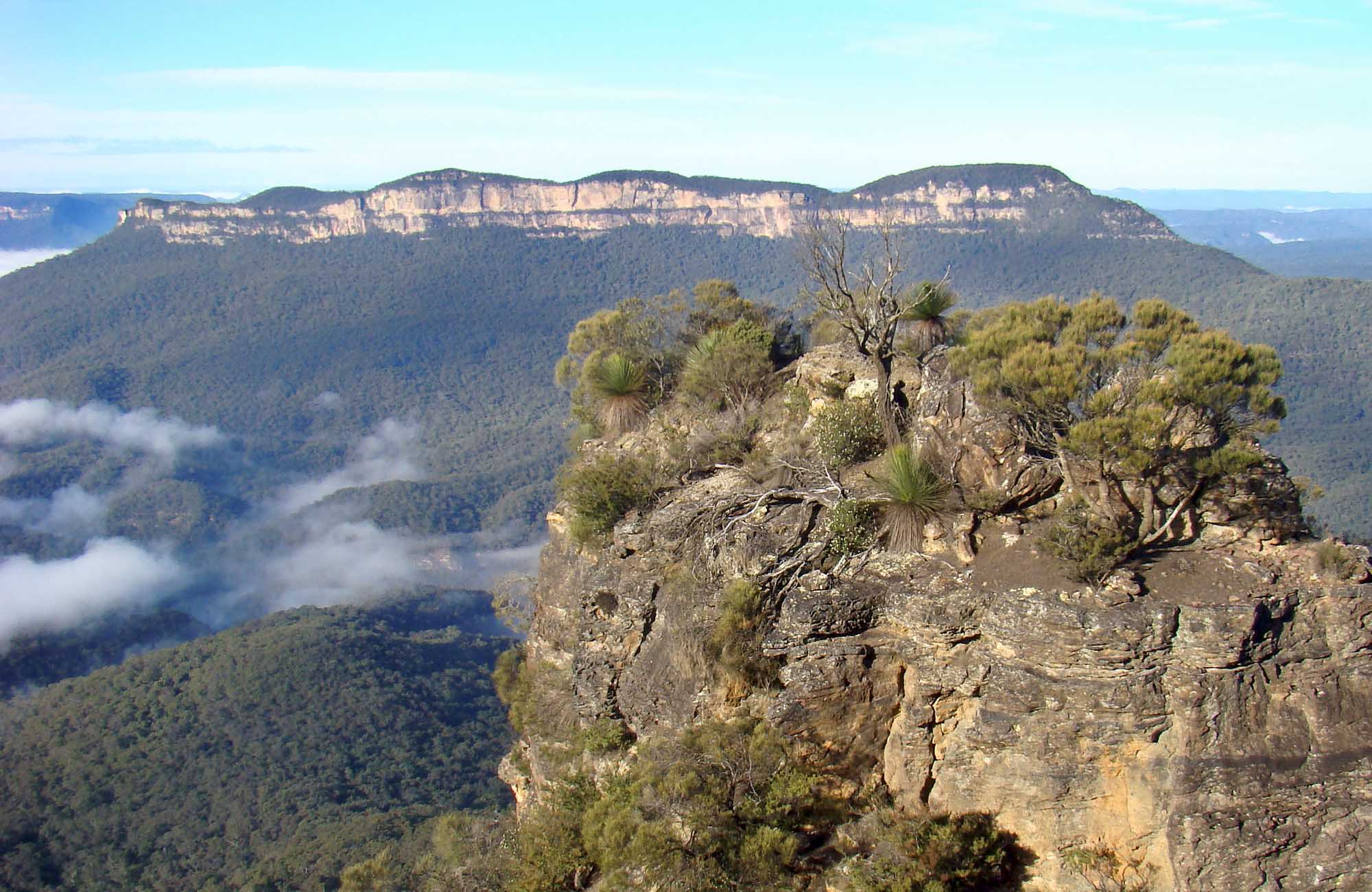 Mount Solitary walking track NSW National Parks