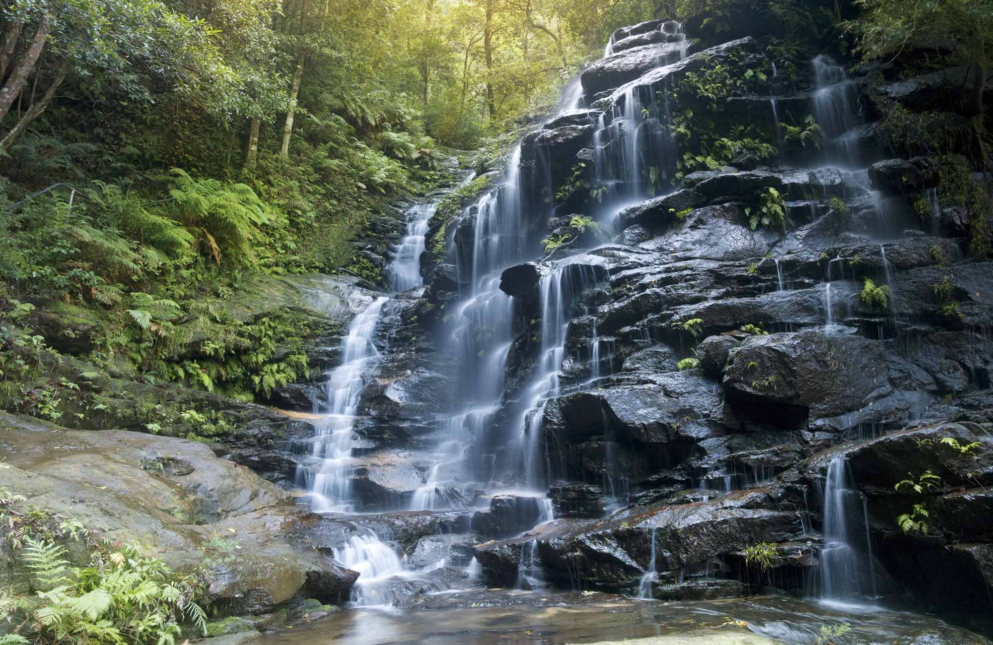 Sylvia Falls, Valley of the Waters, Blue Mountains National Park. Photo: David Finnegan/OEH