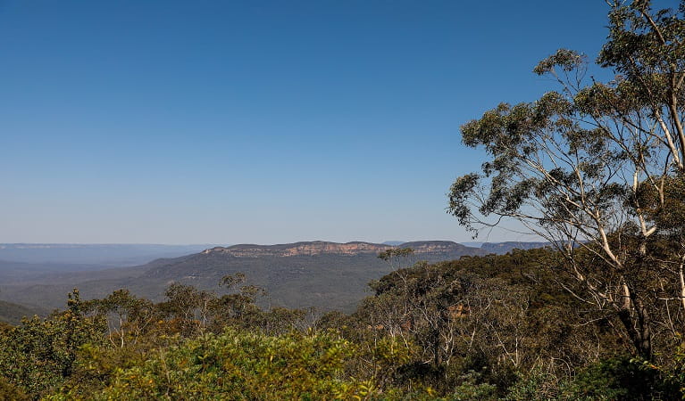 View over the Jamieson Valley and Mount Solitary from Conservation Hut, Blue Mountains National Park. Photo: Conservation Hut Cafe