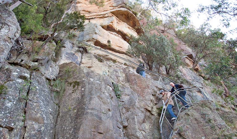 Dardanelles Pass loop walking track, Blue Mountains National Park. Photo: Nick Cubbin &copy; OEH