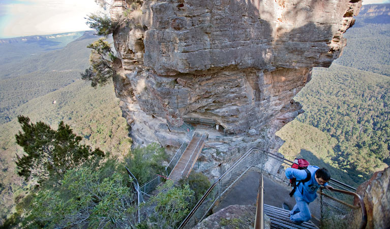 Dardanelles Pass loop walking track, Blue Mountains National Park. Photo: Nick Cubbin &copy; OEH