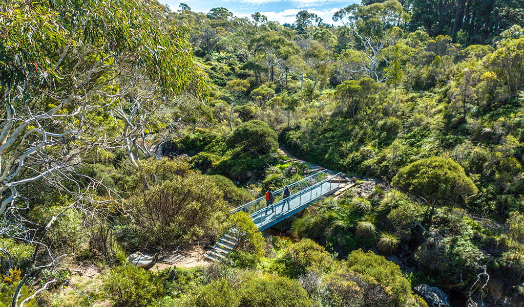 Aerial view of two people crossing a bridge over a creek while hiking Darwens walk near Wentworth Falls. Credit: Remi Brand/DPE &copy; Remy Brand