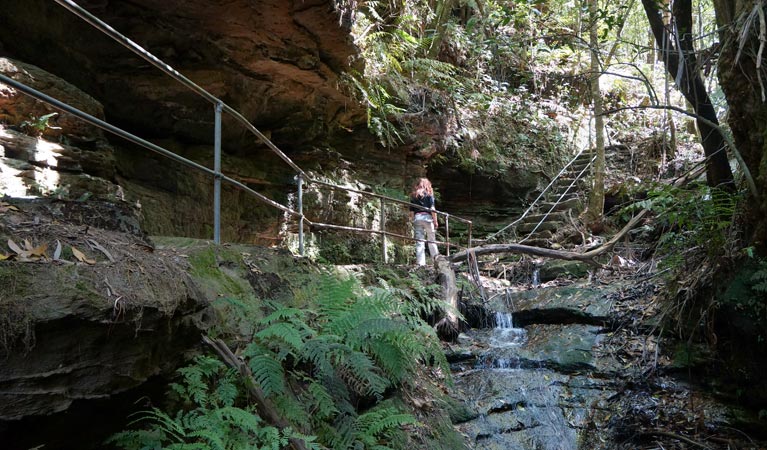 Den Fenella walking track, Blue Mountains National Park. Photo: Steve Alton &copy; OEH