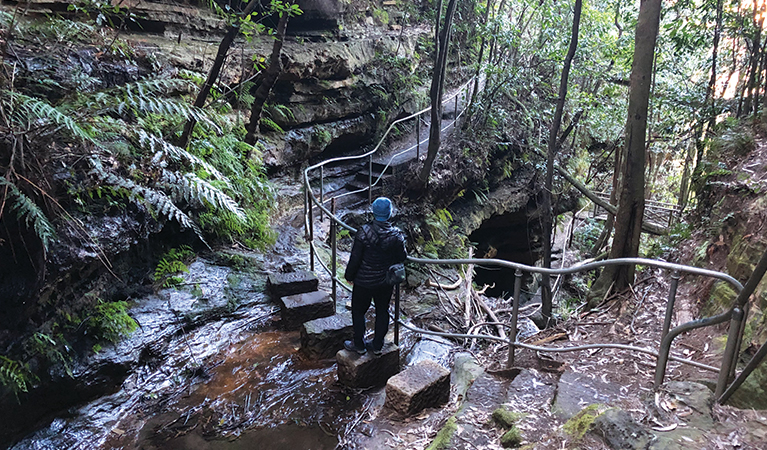 A walker in tall, ferny forest crosses a creek on large stepping stones. Photo: Natasha Webb