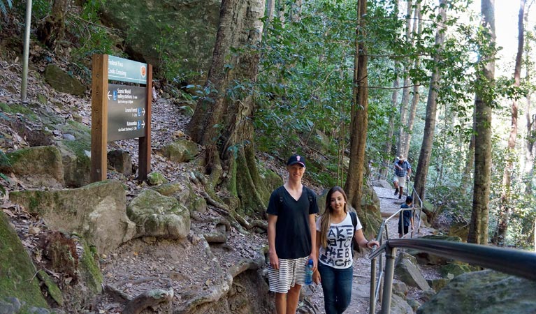 Echo Point to Scenic World via Giant Stairway Walking Track, Blue Mountains National Park