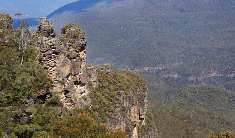 Echo Point to Scenic World via Giant Stairway Walking Track, Blue Mountains National Park. Photo: Steve Alton &copy; OEH