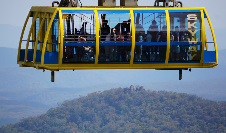 You might be tempted to ride the historic Scenic Railway in Blue Mountains National Park. Photo: Steve Alton &copy; OEH