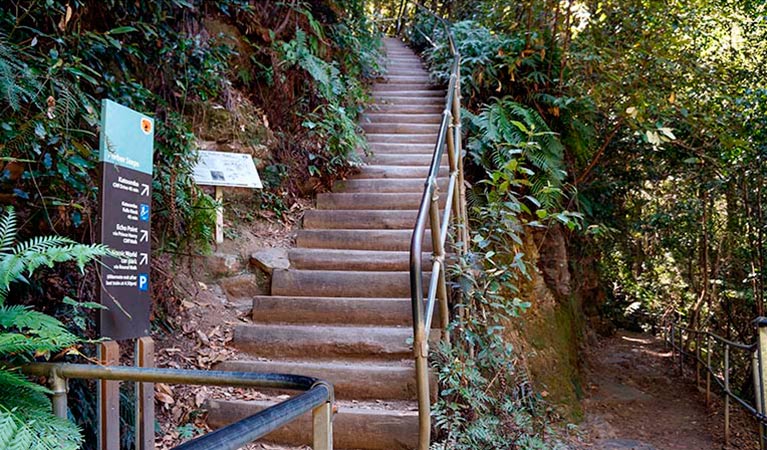 Federal Pass, Blue Mountains National Park. Photo: Steve Alton &copy; OEH