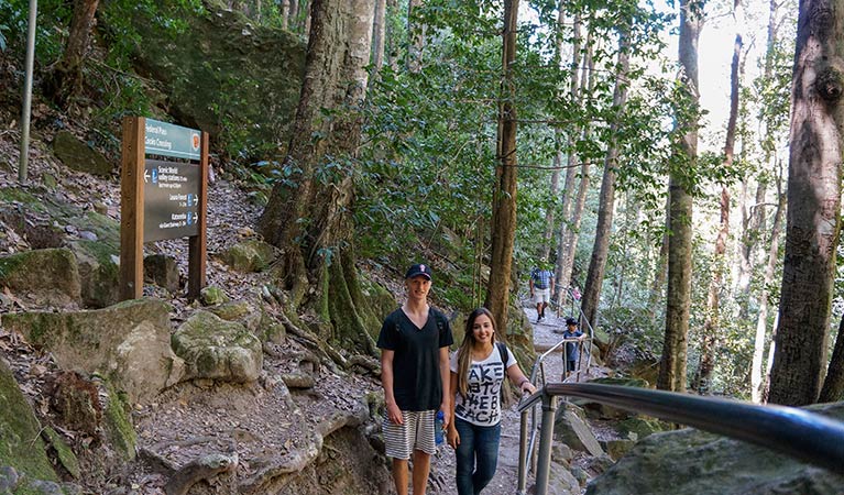 Federal Pass, Blue Mountains National Park. Photo: Steve Alton