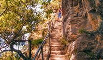 Walkers descending a staircase down into Jamison Valley on Fern Bower to Furber Steps walk, Blue Mountains National Park. Photo: Craig Marshall &copy; DPE