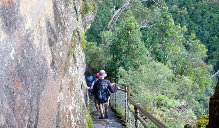 2 walkers descending a very steep set of sandstone steps with a handrail on Furber Steps walk, Blue Mountains National Park. Credit: Steve Alton &copy; NSW Government