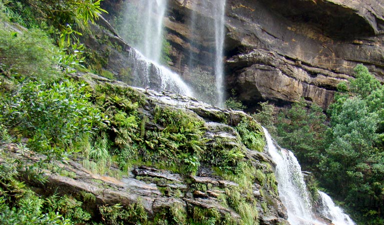 Cascading waterfall along Furber Steps walk, Blue Mountains National Park. Credit: Steve Alton &copy; OEH