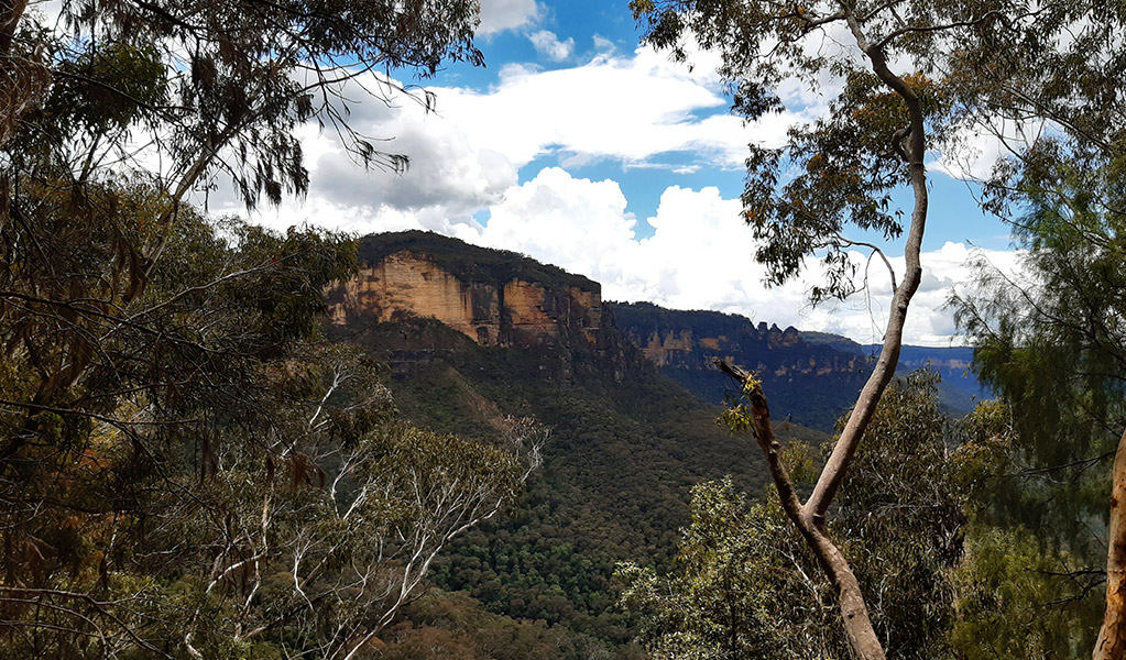 Golden Stairs walking track, Blue Mountains National Park. Photo: James Ridder &copy; James Ridder/DPIE