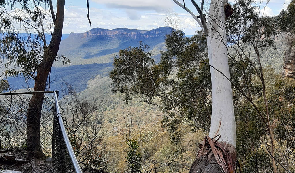 View from lookout at Golden Stairs walking track. Photo: James Ridder &copy; James Ridder/DPIE
