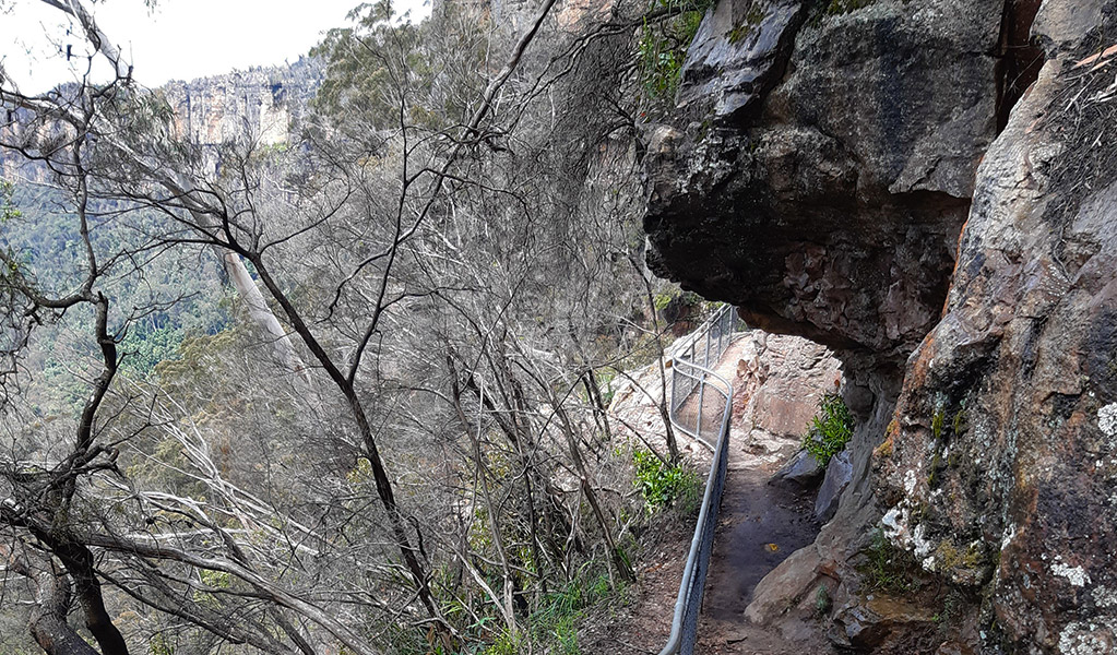 Golden Stairs walking track in Blue Mountains National Park. Photo: James Ridder &copy; James Ridder/DPIE