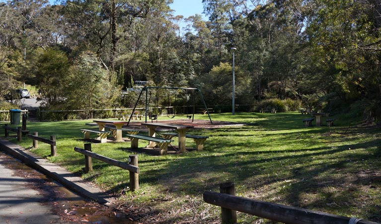 Gordon Falls Picnic Area, Blue Mountains National Park. Photo: Steve Alton/NSW Government