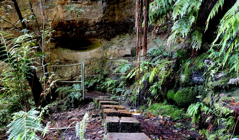 Gordon Falls Picnic Area, Blue Mountains National Park. Photo: Steve Alton/NSW Government