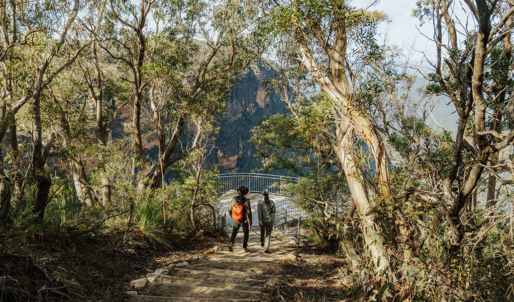 2 walkers approaching Gordon Falls lookout, Greater Blue Mountains Heritage Area. Photo: Remy Brand &copy; Remy Brand