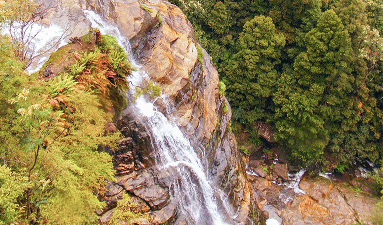 Leura Cascades, Blue Mountains National Park. Photo: Craig Marshall &copy; DPE