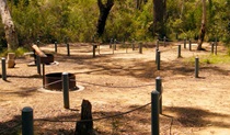 Ingar campground, Blue Mountains National Park. Photo: Craig Marshall