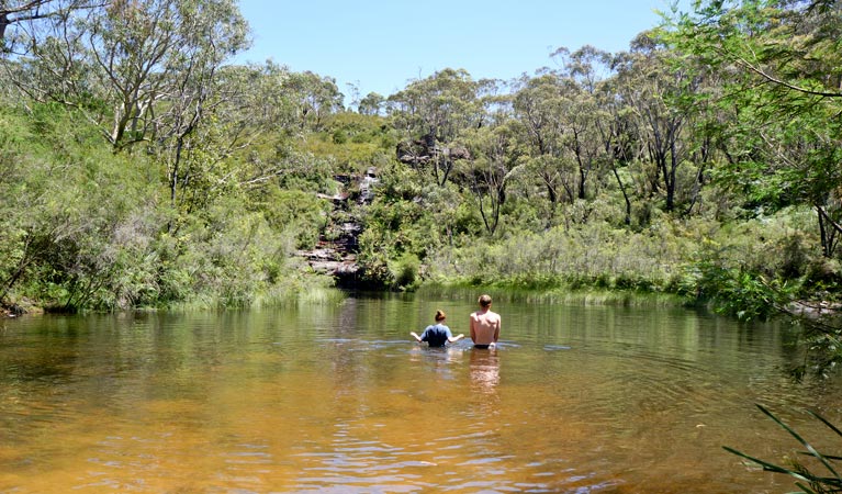 Ingar Campground, Blue Mountains National Park. Photo: Steve Alton