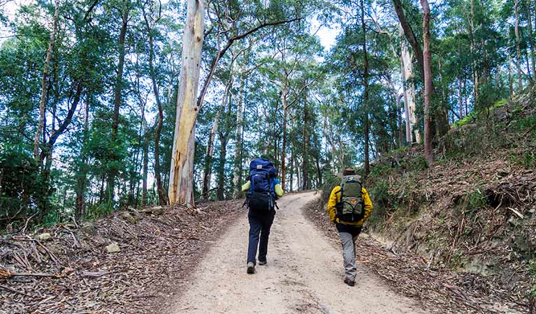 A couple with backpacks walk a fire trail to Kedumba River Crossing campground, Blue Mountains National Park. Photo: Simone Cottrell/OEH