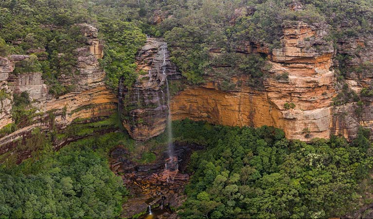 Wentworth Falls waterfall, Blue Mountains National Park. Photo: Destination NSW