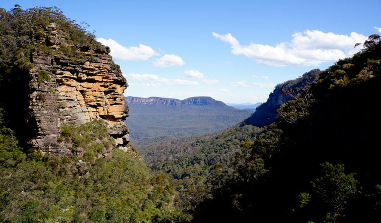 View of Mount Solitary from Majestic lookout, Leura Cascades Fern Bower circuit, Blue Mountains National Park. Photo: Steve Alton &copy; OEH